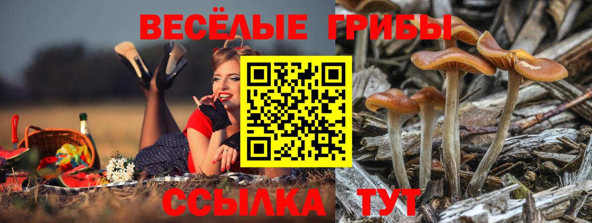 Галлюциногенные грибы MAGIC MUSHROOMS Учалы