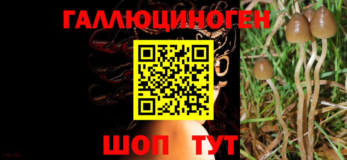Учалы  Галлюциногенные грибы Cubensis  Вход с VPN  Псилоцибиновые грибы мухоморы 